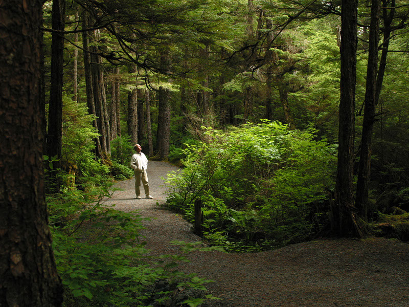 Alaska Raptor Center