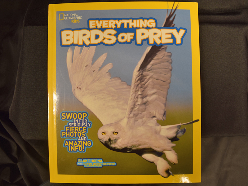 Everything bird. National Geographic books for Kids.