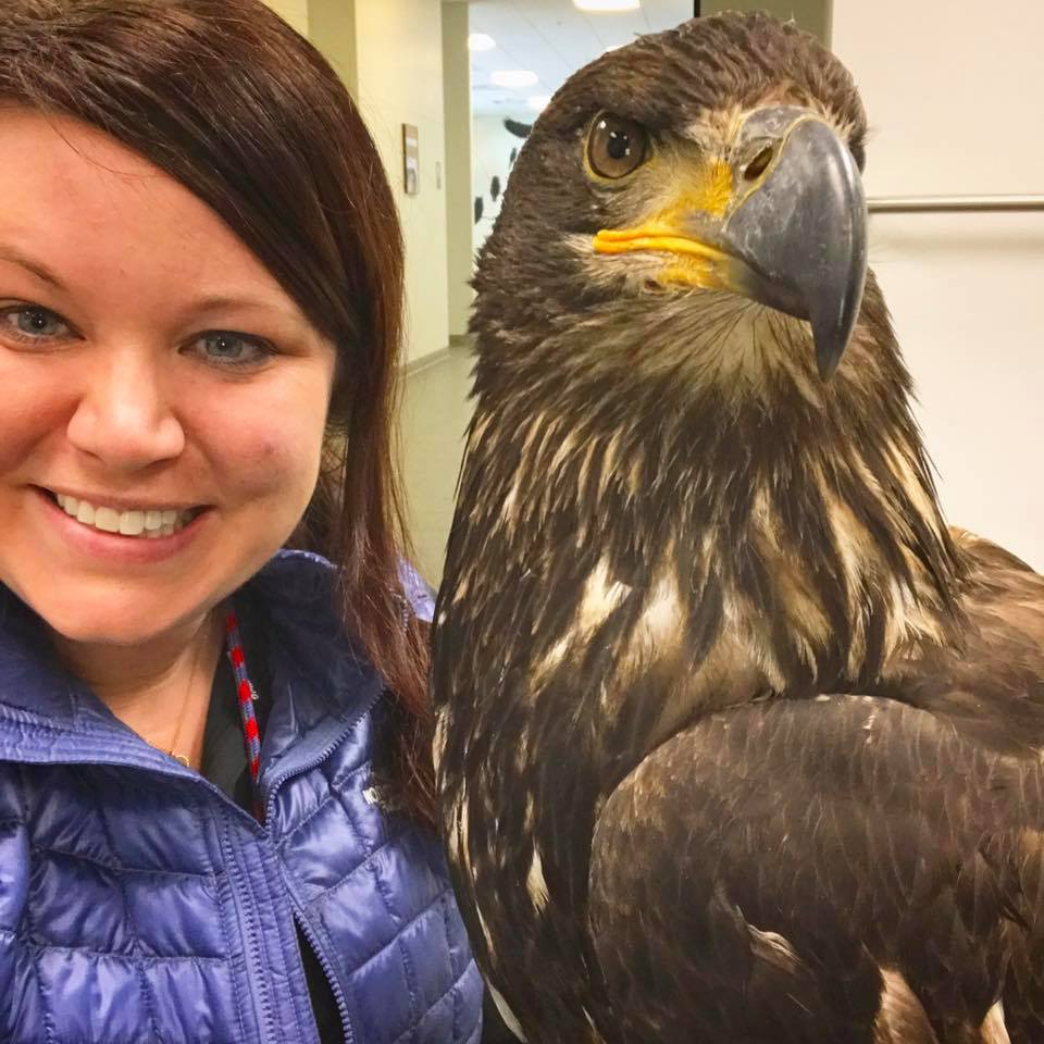 Our Team – Alaska Raptor Center