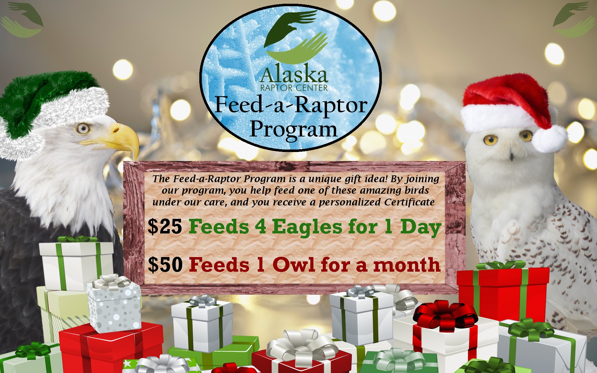 Alaska Raptor Center