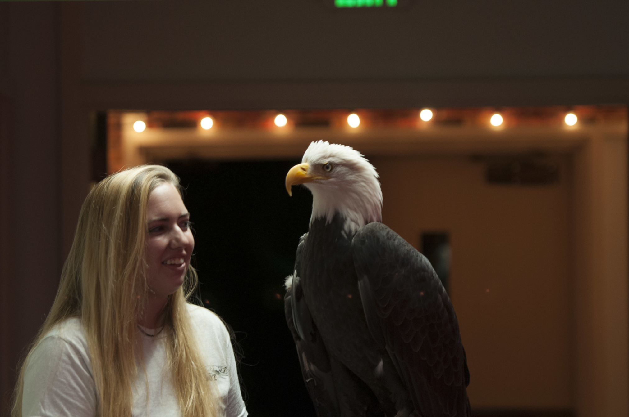 Alaska Raptor Center