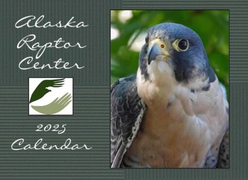 Alaska Raptor Center 2025 Calendar