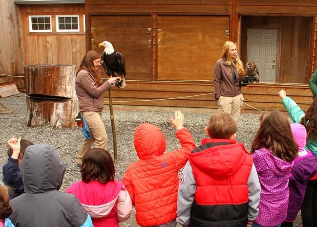 Alaska Raptor Center
