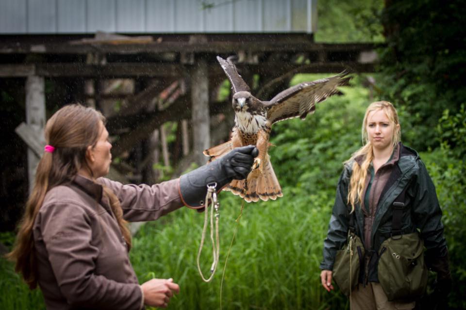 Alaska Raptor Center