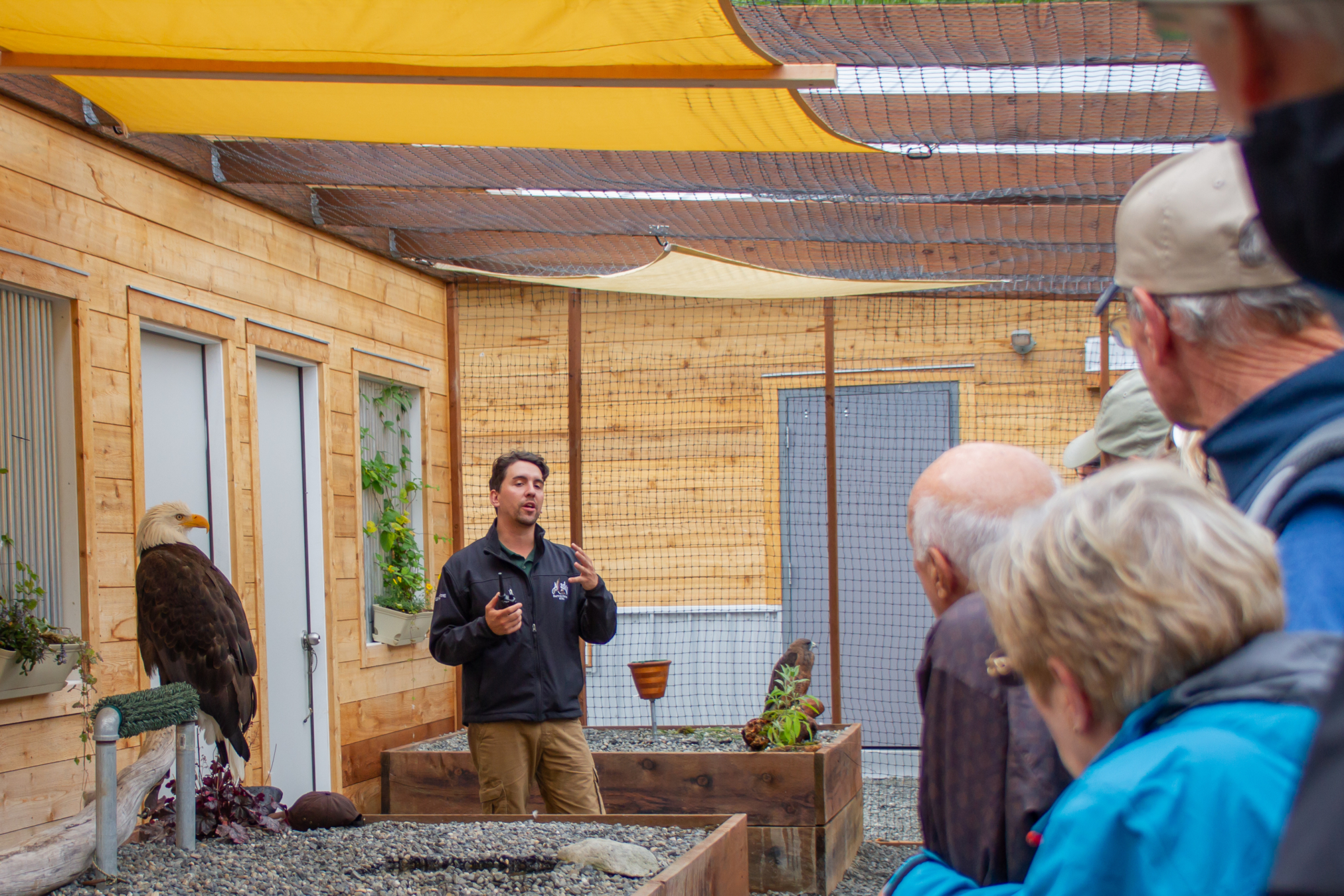 Alaska Raptor Center