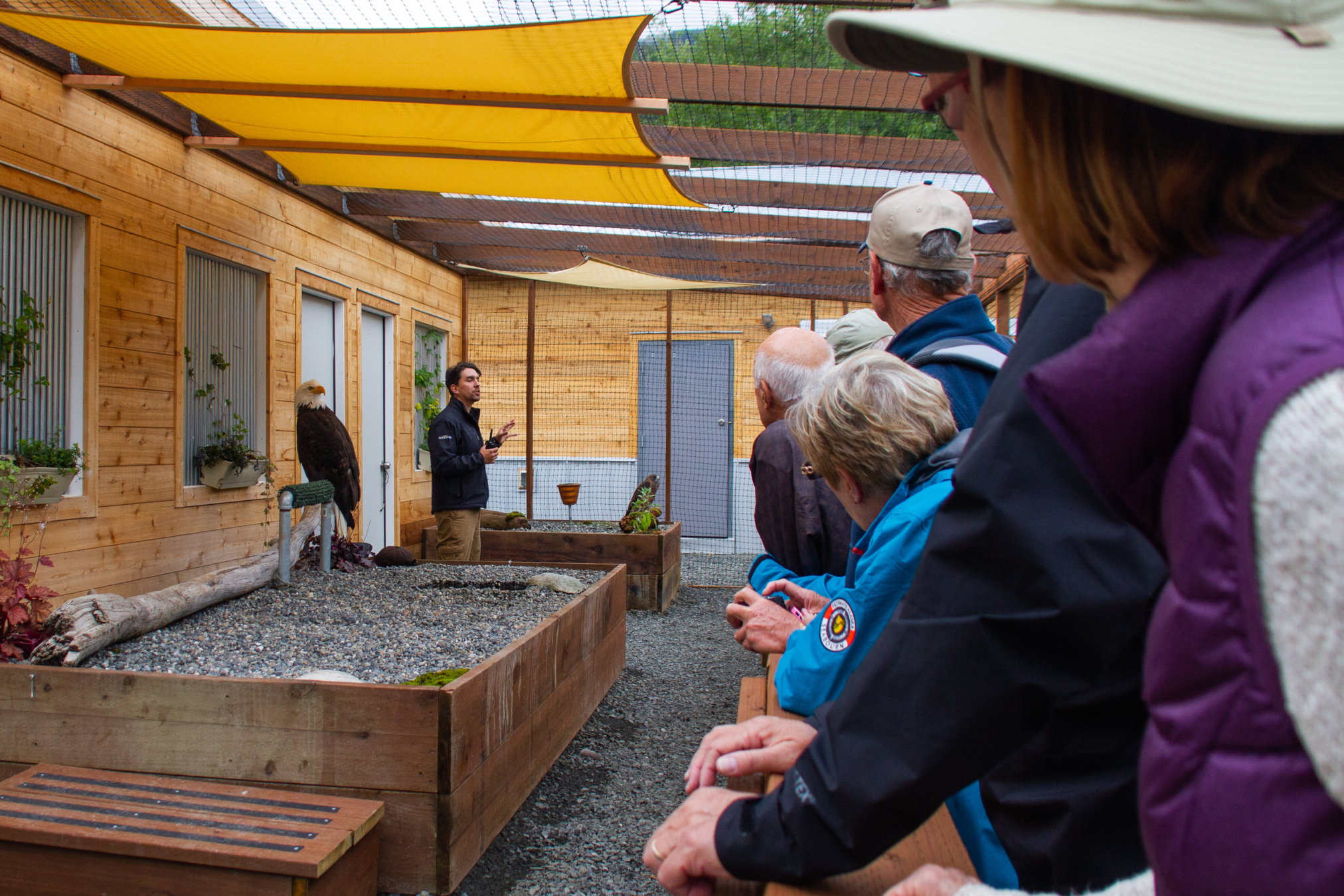 Alaska Raptor Center