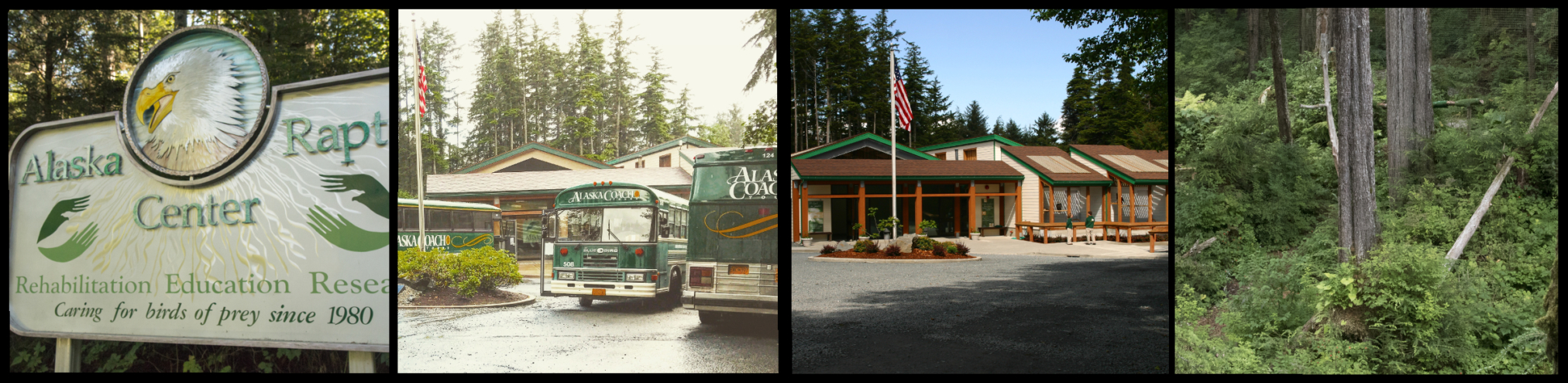 Alaska Raptor Center