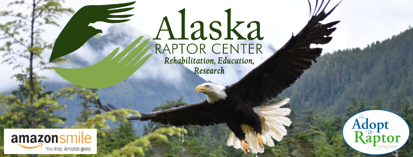 Alaska Raptor Center