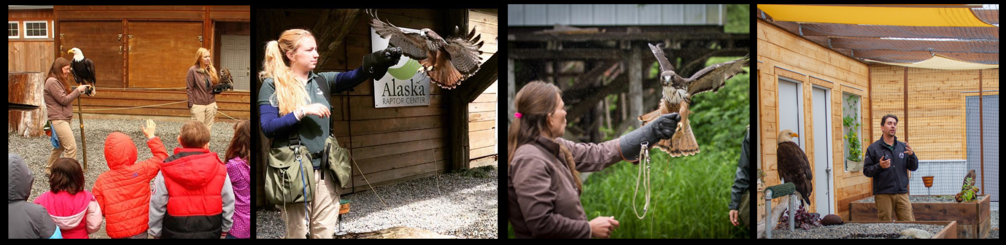 Alaska Raptor Center