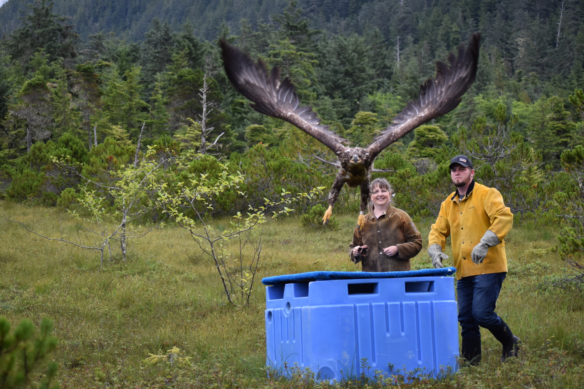 Alaska Raptor Center