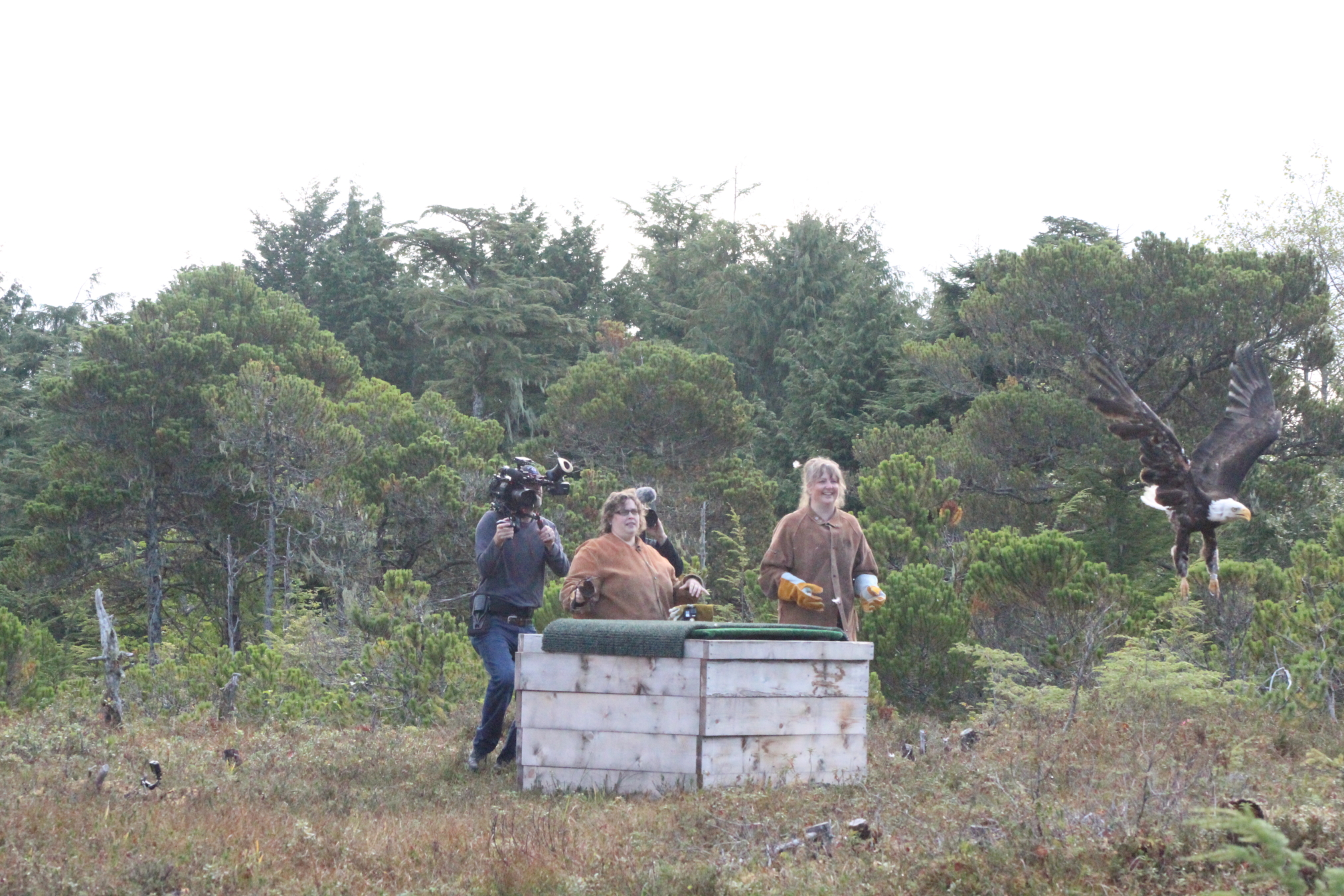 Alaska Raptor Center