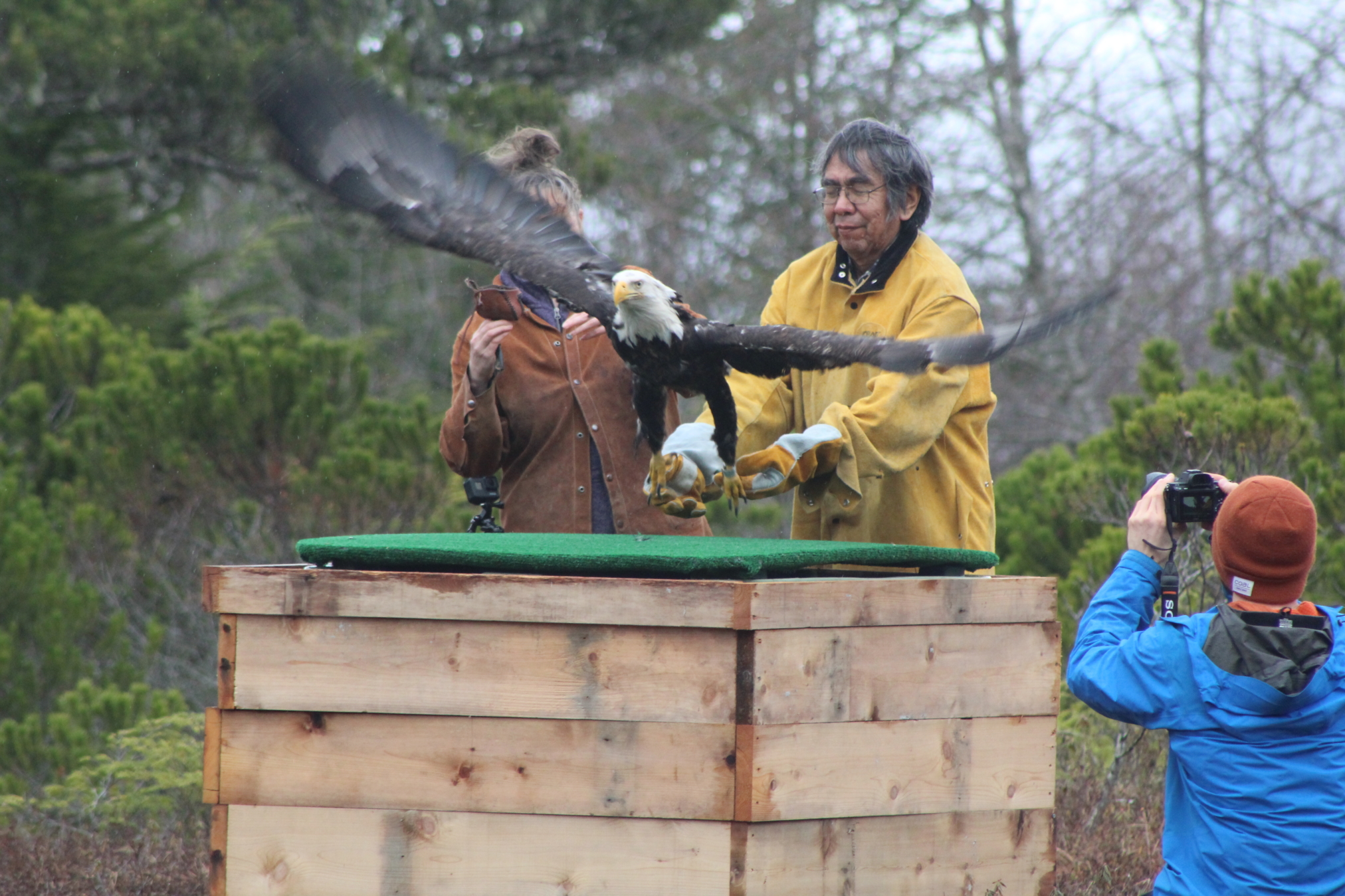 Alaska Raptor Center