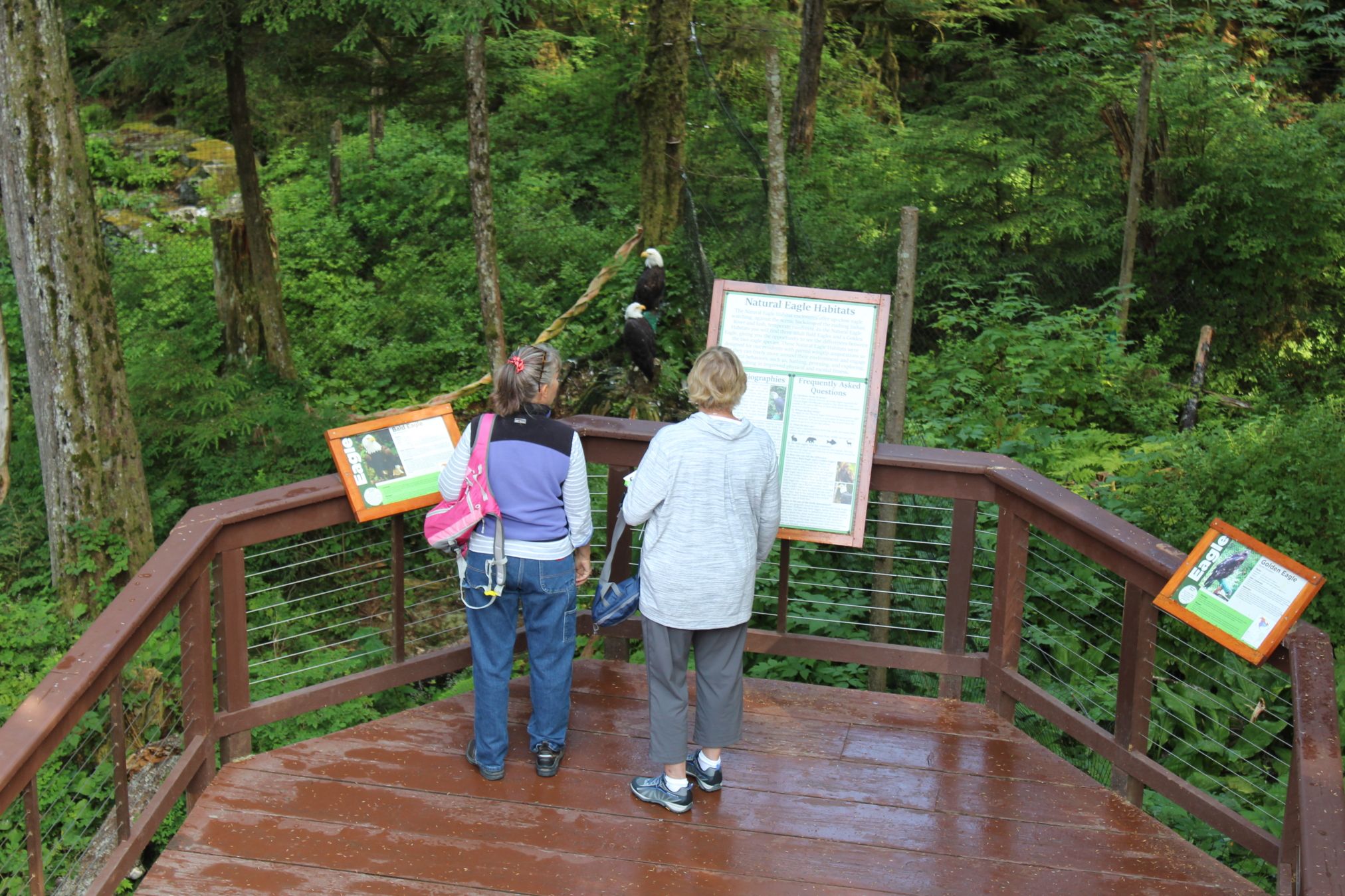 Alaska Raptor Center