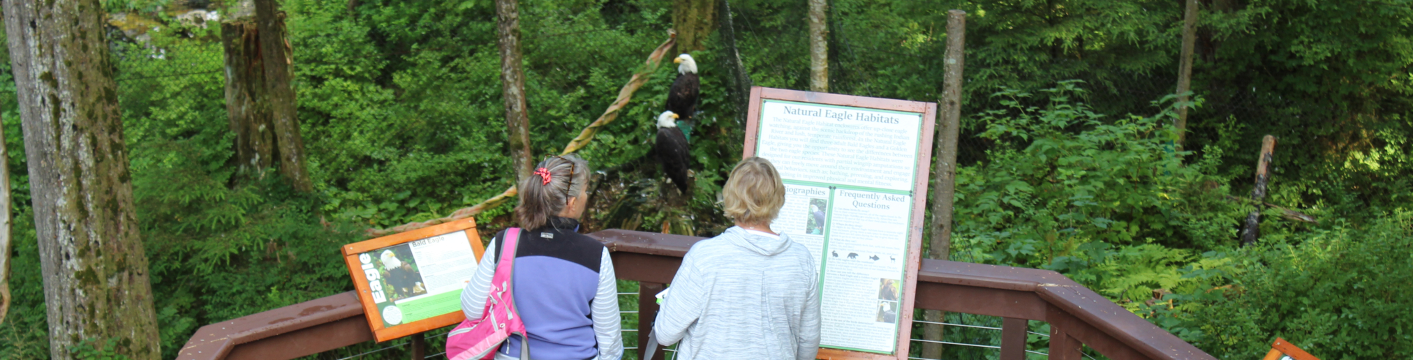 Alaska Raptor Center