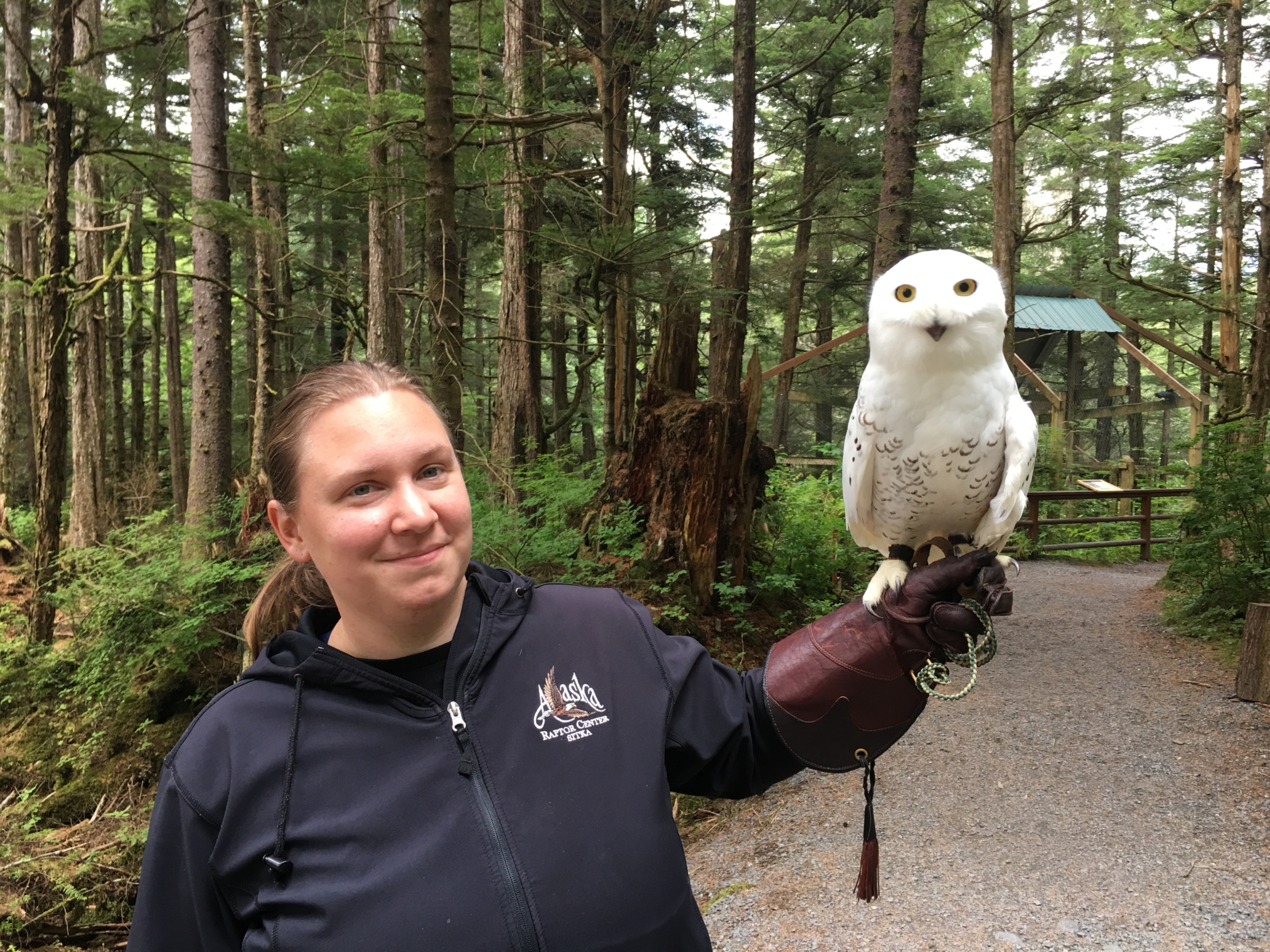 Alaska Raptor Center