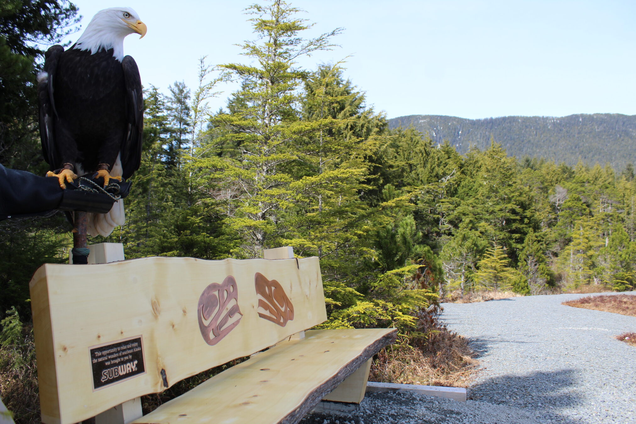 Alaska Raptor Center