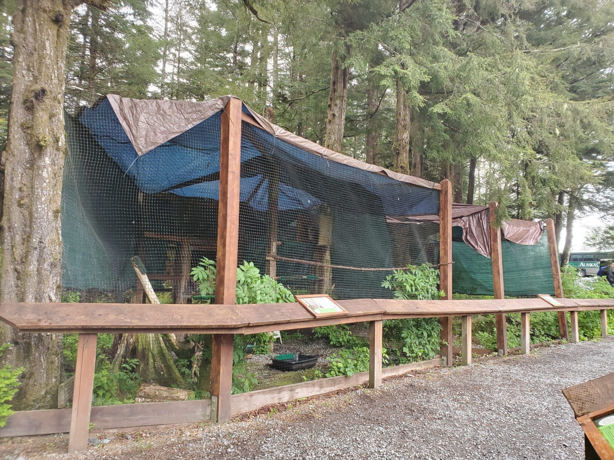 Alaska Raptor Center