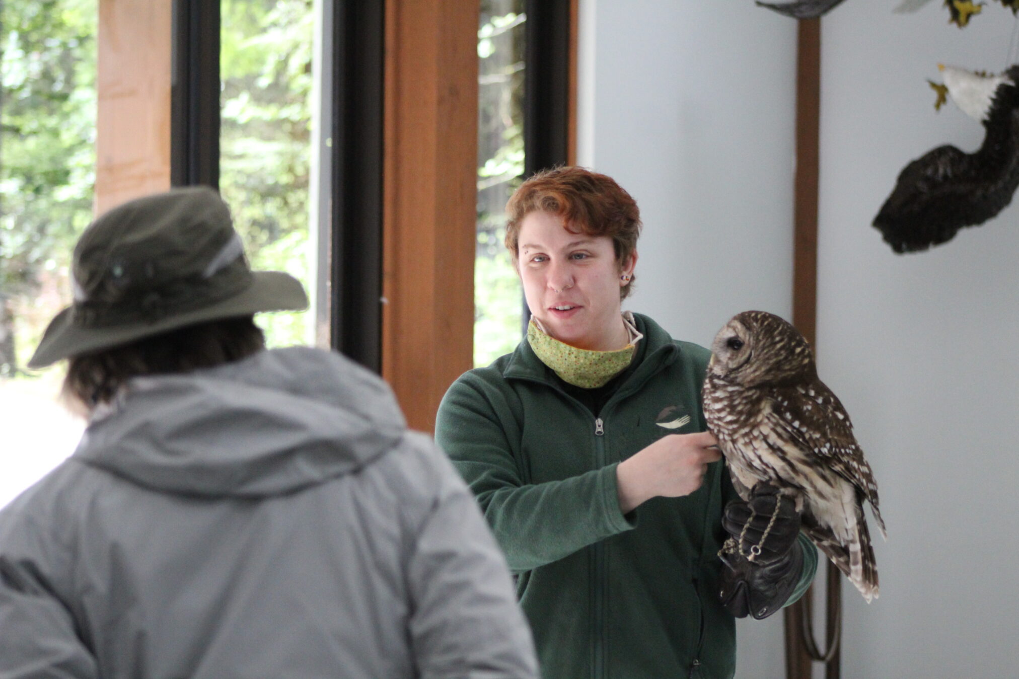 Alaska Raptor Center