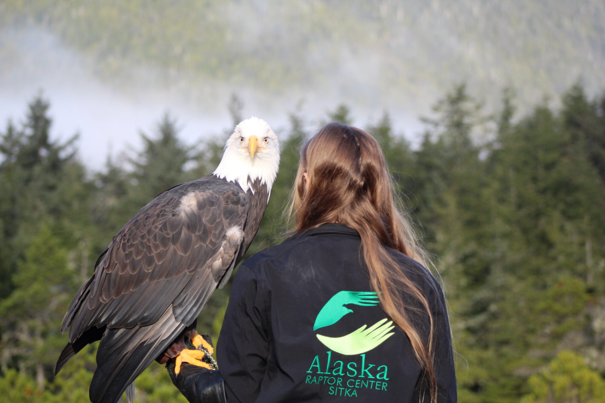 Alaska Raptor Center