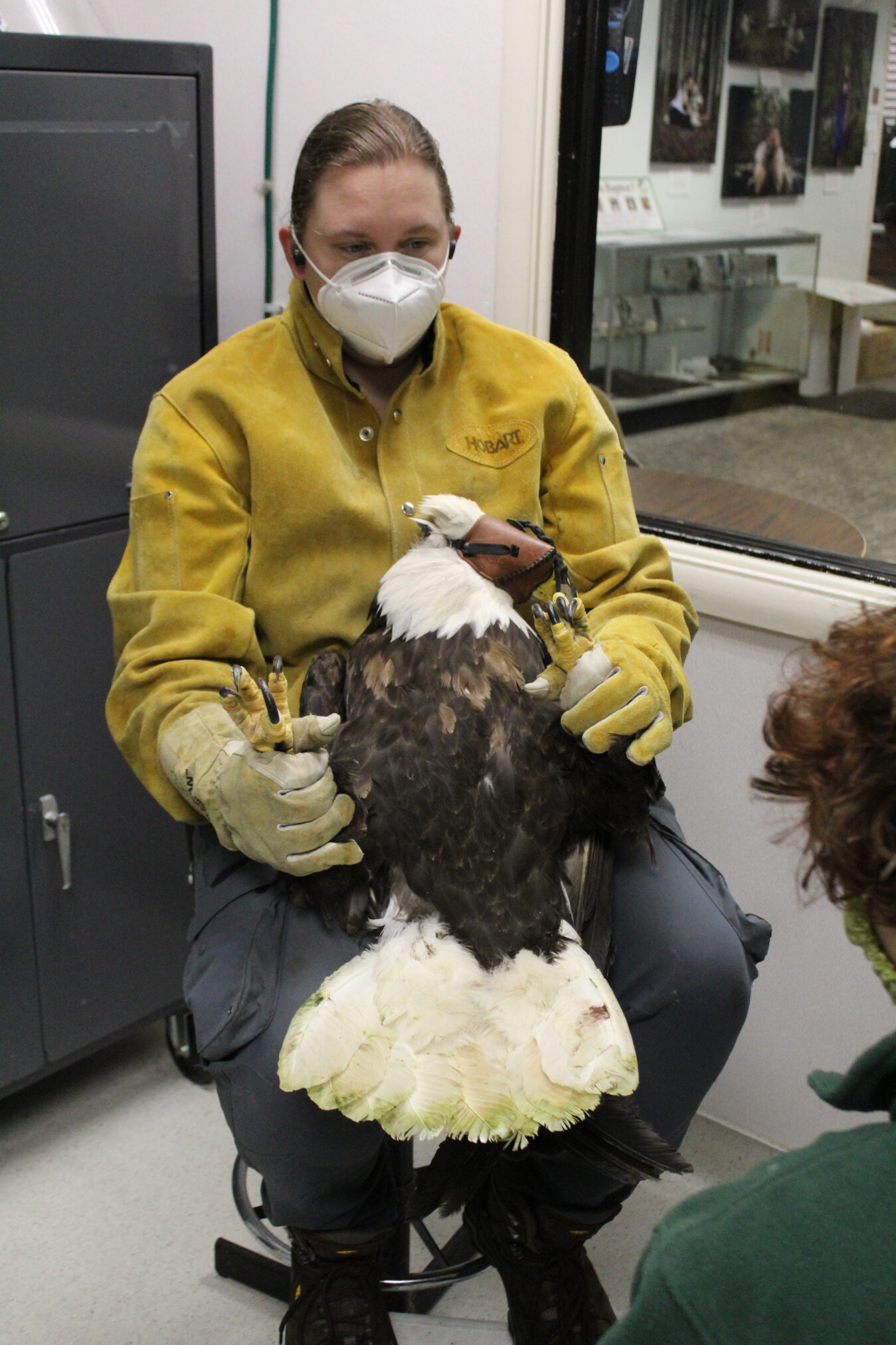 Alaska Raptor Center