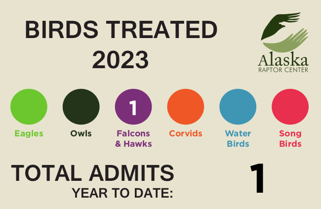 Alaska Raptor Center