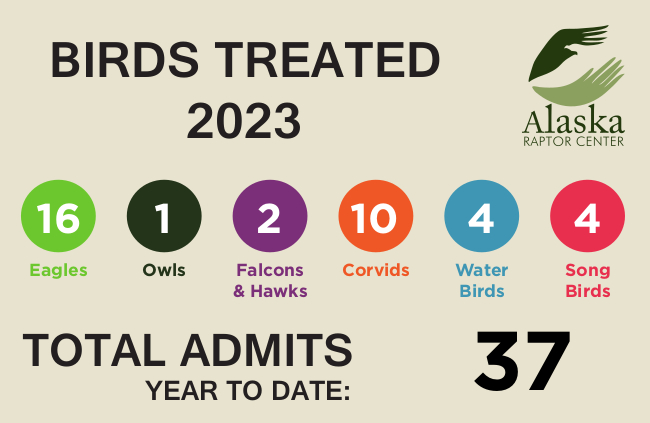 Alaska Raptor Center