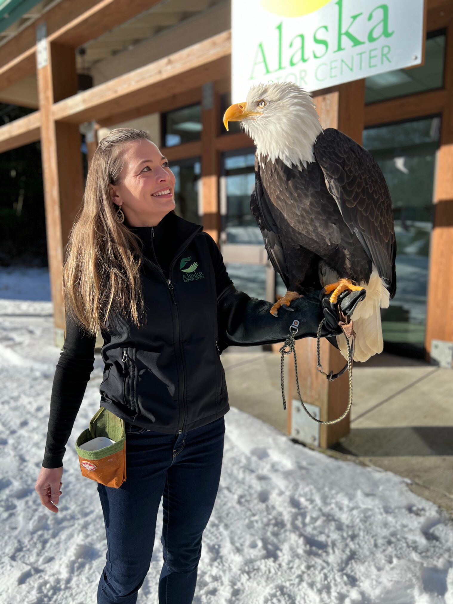 Alaska Raptor Center