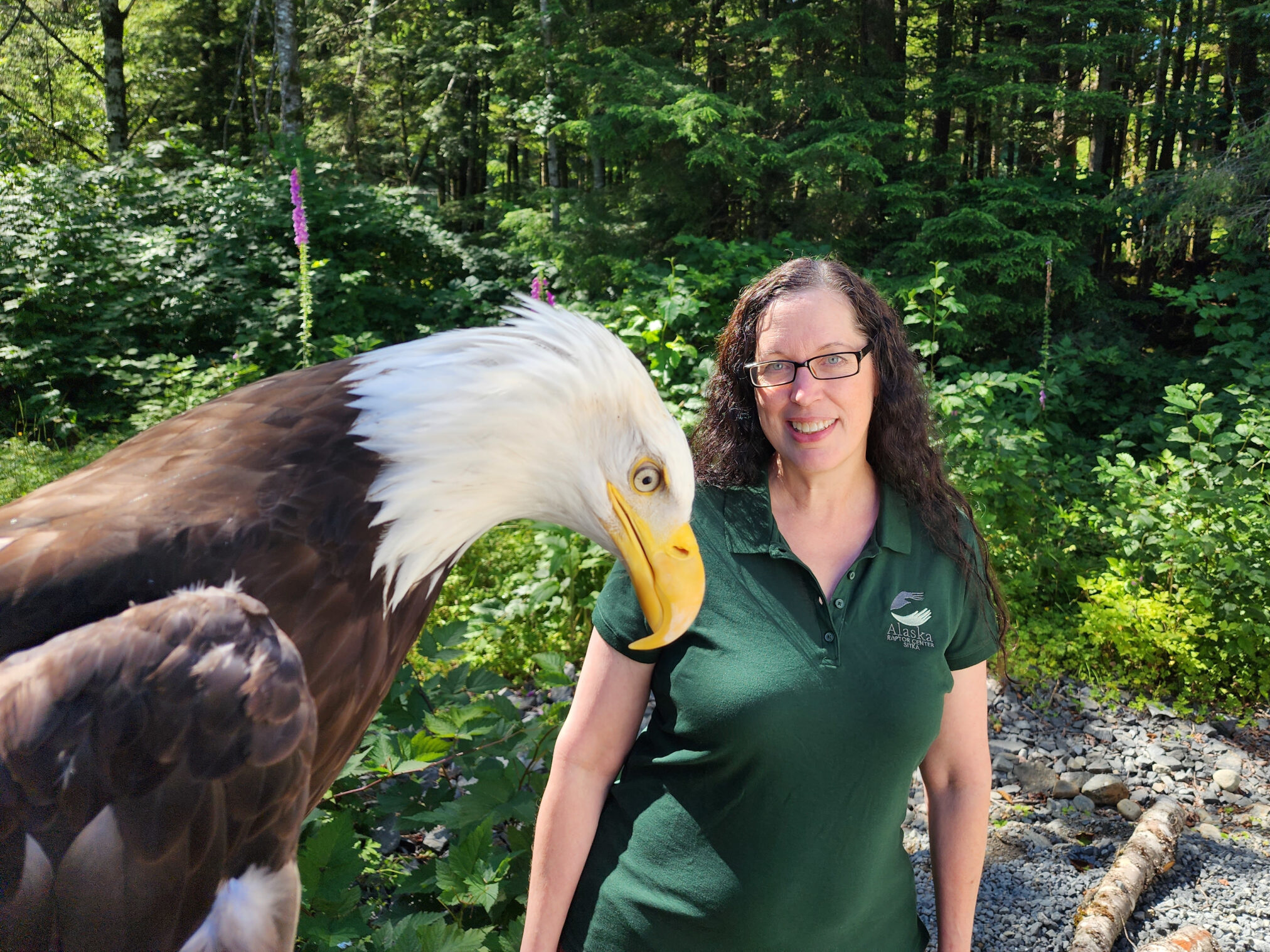 Alaska Raptor Center