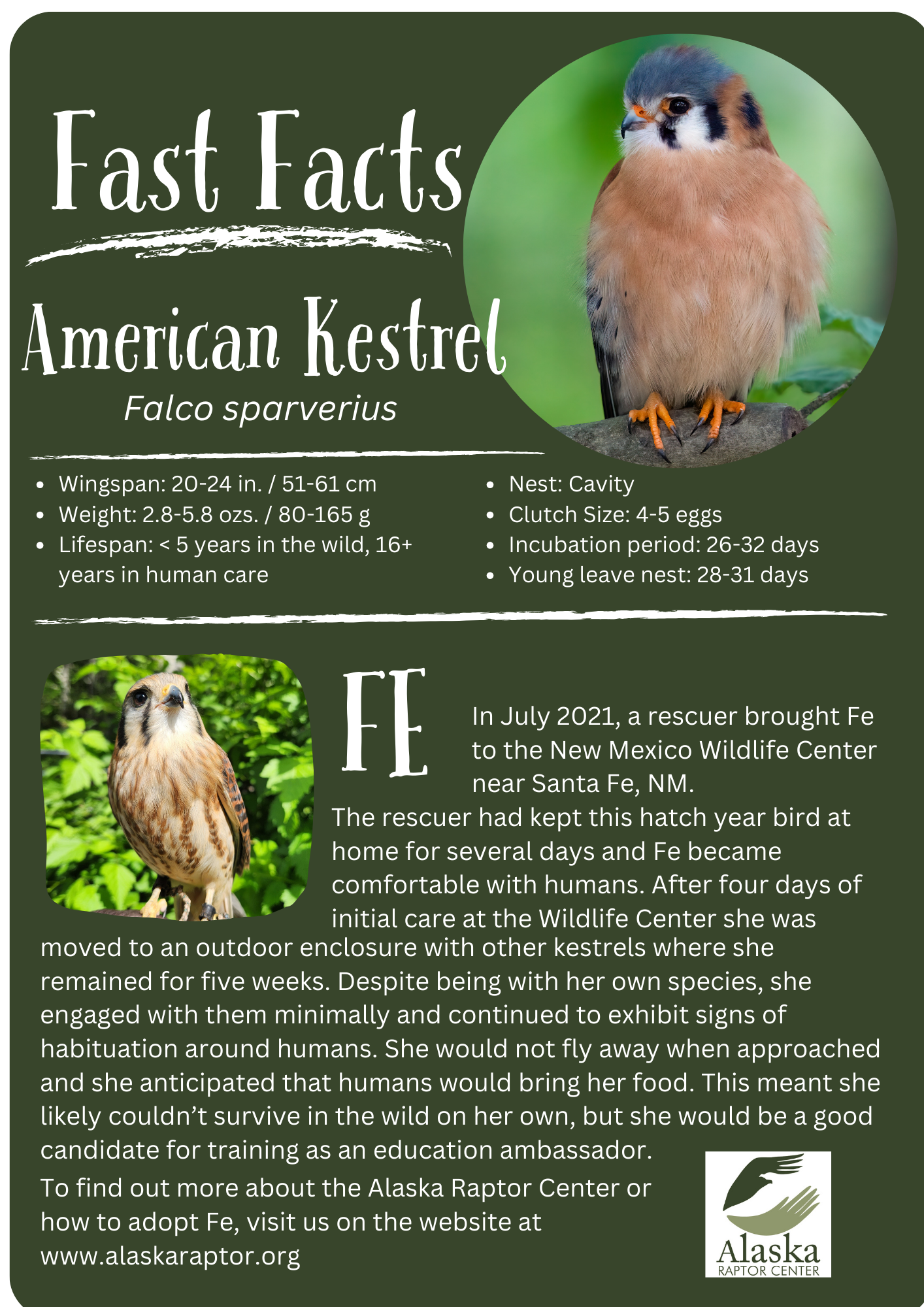 Alaska Raptor Center